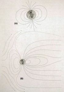 Seed of Knowledge_fig.1_resize