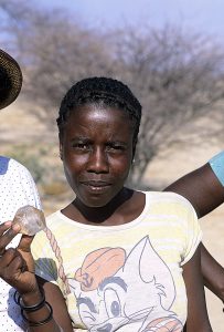 Sydafrika-Namibia 1993