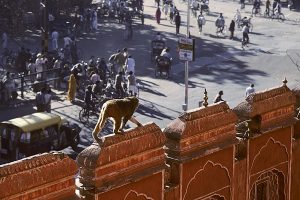 Nordindien 1991